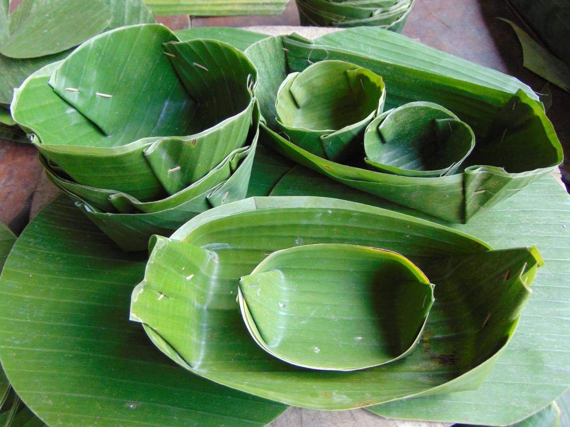 Fresh Banana Leaves 1 Lb. Hoja De Platano