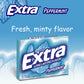 Extra Peppermint Sugar Free Chewing Gum Bulk Pack, 15 Pieces (48 Packs)