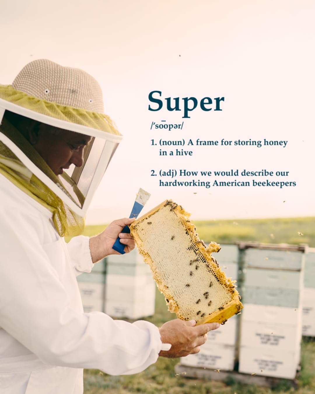 Local Hive Oregon Raw Unfiltered Honey - 32Oz, 100% Pure Us Honey, Sourced From American Bees And Beekeepers - Natural Sweetener