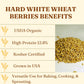 Gorlion Organic Hard White Wheat Berries 4 Lbs. Great For Bread, Pancakes, Waffles, Pastries, Cereals, Salads, Flatbreads, Crack
