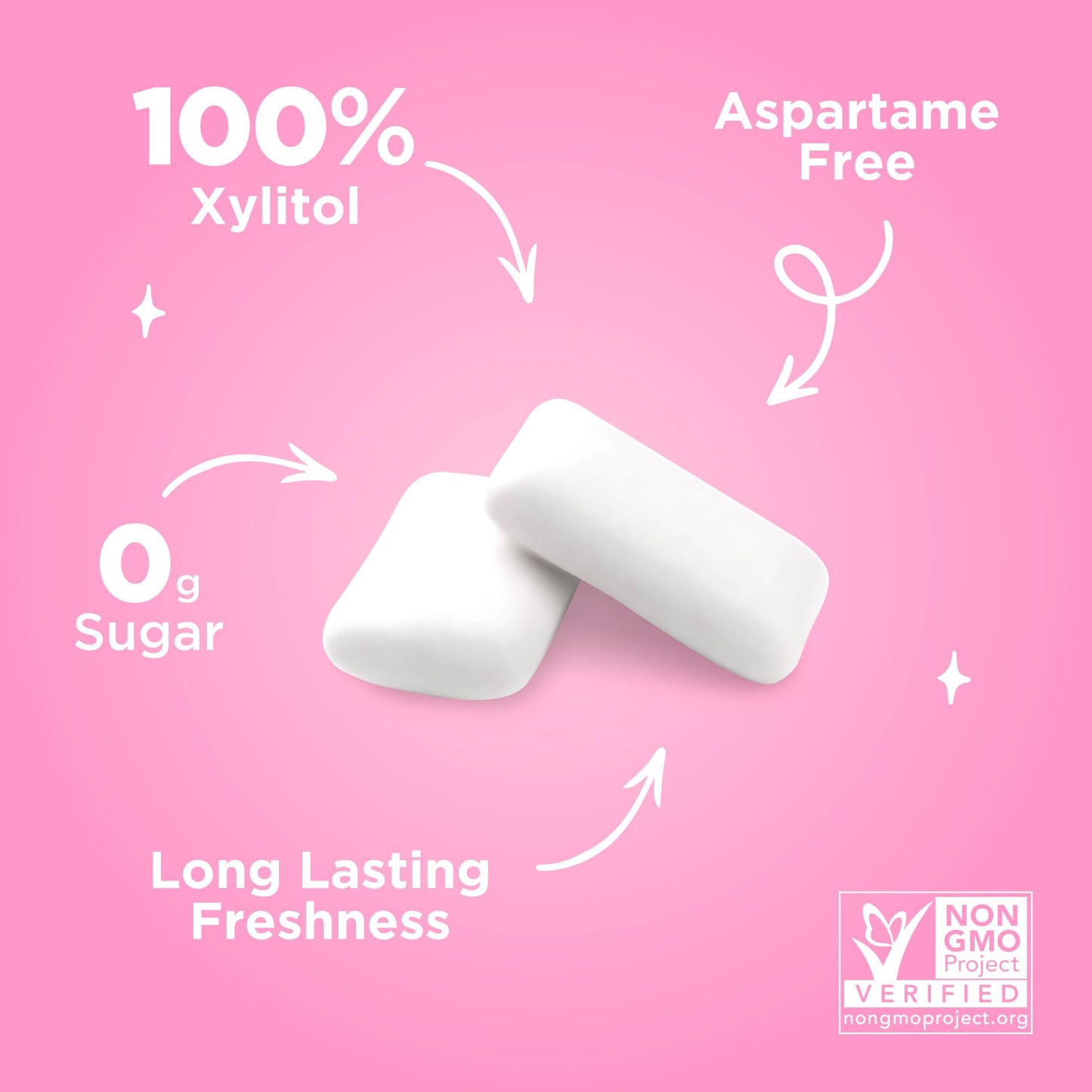 Pur Gum | Aspartame Free Chewing Gum | 100% Xylitol | Natural Bubblegum Flavored Gum, 9 Pieces (Pack Of 12)