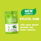 Dc24 Daily Care Gum, Aspartame Free & Sugar Free, Xylitol Chewing Gum With Erythritol, Low-Calorie, Sugarless, Spearmint, 50 Pie