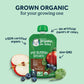 Gerber Organic Baby Food Pouches, 2Nd Foods For Sitter, Veggie Power, Pumpkin Banana Carrot, 3.5 Ounce (Pack Of 12)