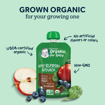 Gerber Organic Baby Food Pouches, 2Nd Foods For Sitter, Veggie Power, Pumpkin Banana Carrot, 3.5 Ounce (Pack Of 12)