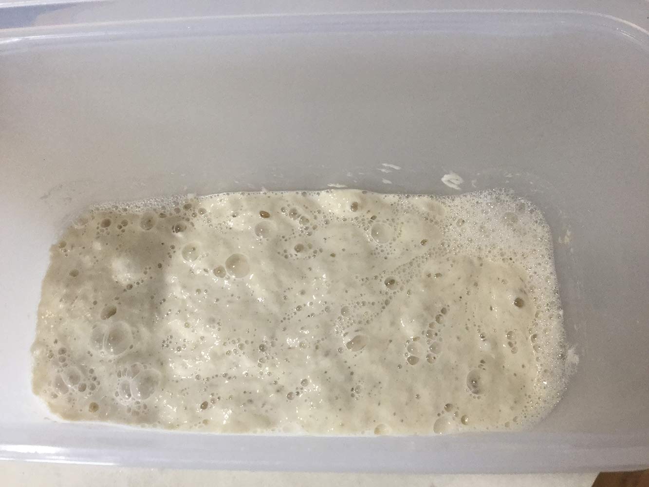 San Francisco Sourdough Starter Genuine Original San Francisco Culture with Easy Foolproof Recipe. True Original Organic San Fra