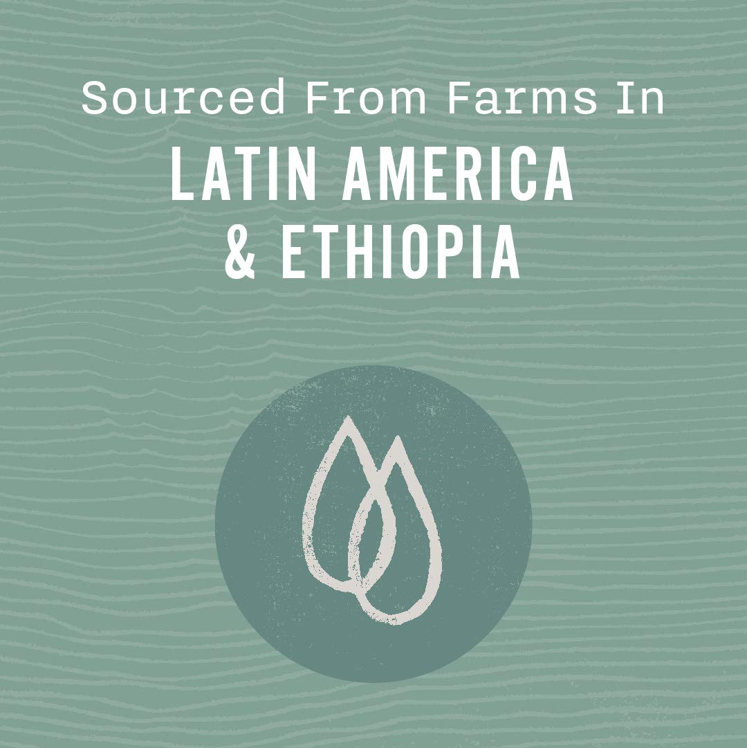 Allegro Coffee Organic Espresso Bel Canto Whole Bean Coffee, 12 Oz(Pack Of 1)