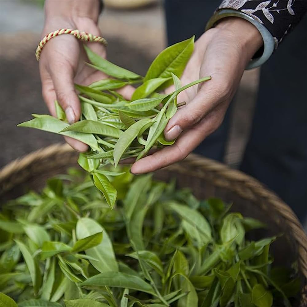 Palais Des Thés - Tibetan Monks - Black & Green Tea Floral Blend - Enhanced Tea Bags, Serves 20 Cups