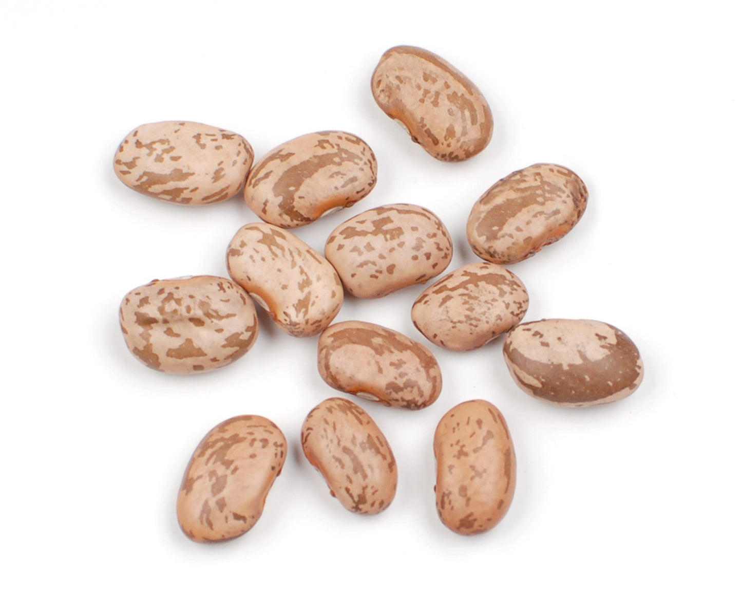 Dallesandro 25 lbs. Dry Pinto Beans, Certified Kosher & Non-GMO