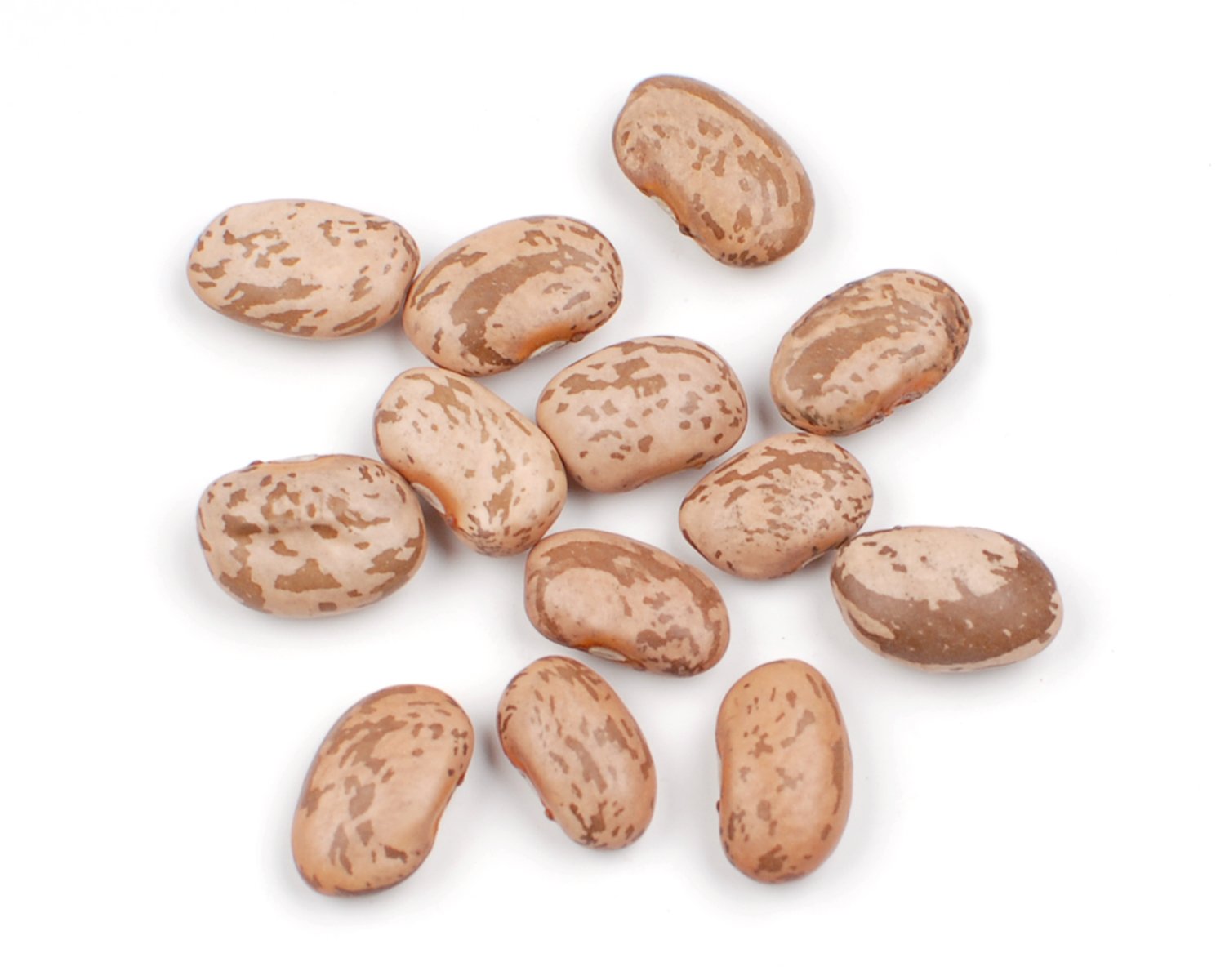 Dallesandro 25 lbs. Dry Pinto Beans, Certified Kosher & Non-GMO
