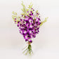 Athenas Garden Fresh Cut Purple Orchids Flowers 50 Stems Dendrobium Orchids Sonia Fresh Flowers