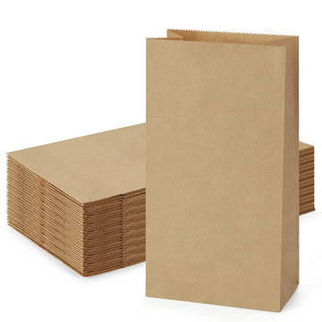 Shopday Paper Lunch Bags 4Lb 100 Pack Brown Paper Bags 5X2.95X9.45'' Recyclable Kraft Sack Lunch Bags Snacks Bags Grocery Bags F