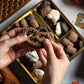 Chocolate Gift Basket, Candy Food Arrangement Platter, Gourmet Snack Box, Holiday Present Idea, Corporate Him & Her, Men Women S