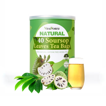 VitalForest 40 Dried Soursop Leaves Tea Bags, Soursop Graviola Leaves Tea| Sour Sop Tea Leaves