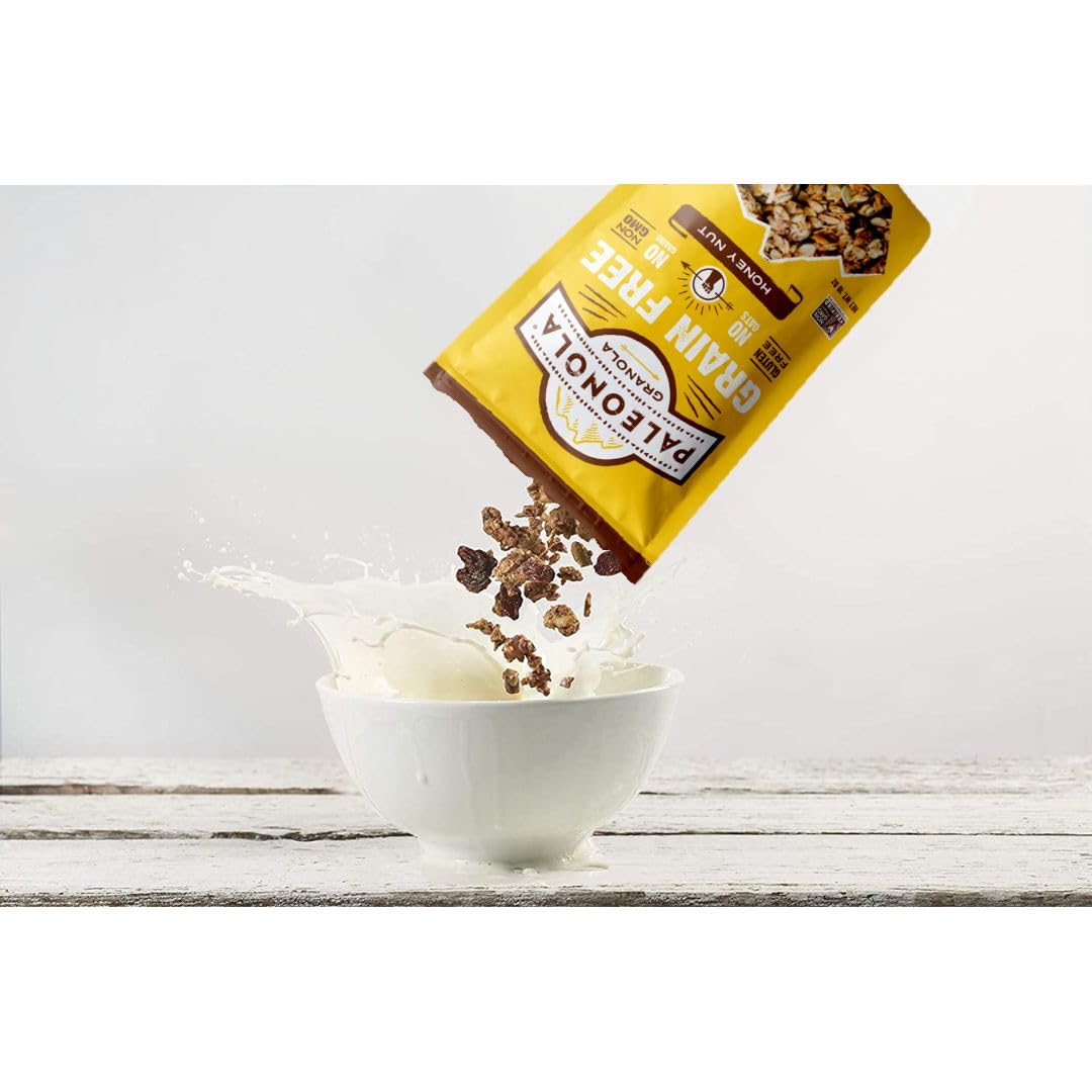 Paleonola - Grain Free Granola Honey Nut Flavor 2-Pack - Non-Gmo, Grain, Soy, Gluten, Dairy Free - Low Carb Protein Snack For A