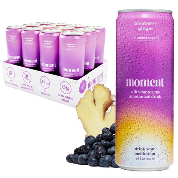 Drink Your Meditation Moment Adaptogen Drink - Blueberry Ginger, Non-Carbonated, 11.5 Fl Oz, 12-Pack, 0 Added Sugar, 0 Caffeine