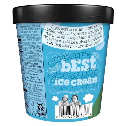 Ben & Jerrys Peanut Butter Half Baked Chocolate & Peanut Butter Ice Cream Pint Non-GMO 16 oz