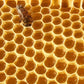 Stakich Clover Honey Stix (500 Count)