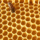 Stakich Clover Honey Stix (100) (200 Count)