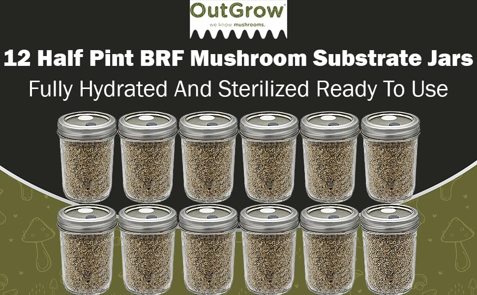 Out-Grow BRF Jars Mushroom Substrate, 12 Pack, Brown Rice, Glass Jar, Brown/Grey