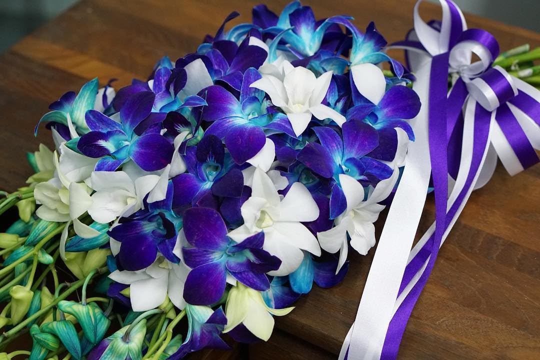 Sunne Tropical Orchidclub Usa Fresh Cut Flowers Dendrobium Orchids (10 Stems Blue & White)