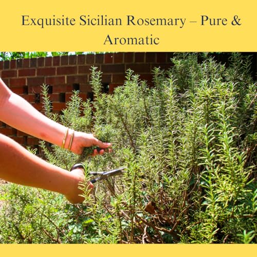 Whole Rosemary Bunch, 1.4 Oz (40 G), Rosemary Stems, Fresh Grown In The Mountains Of Sicily, Italian, Sicilian Dried Rosemary Le