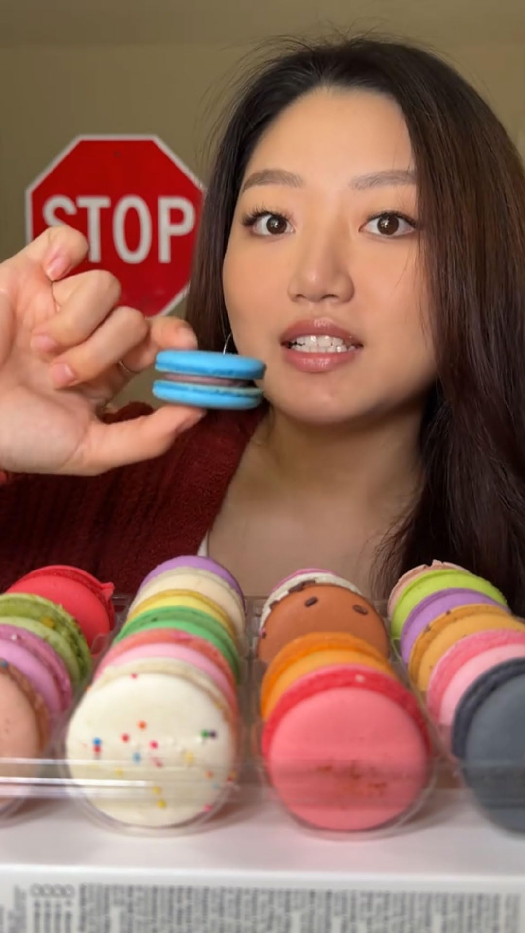 Macarons - Blueberry French Macarons 12 Pack, Gourmet Cookie Gift Box, Macaroon