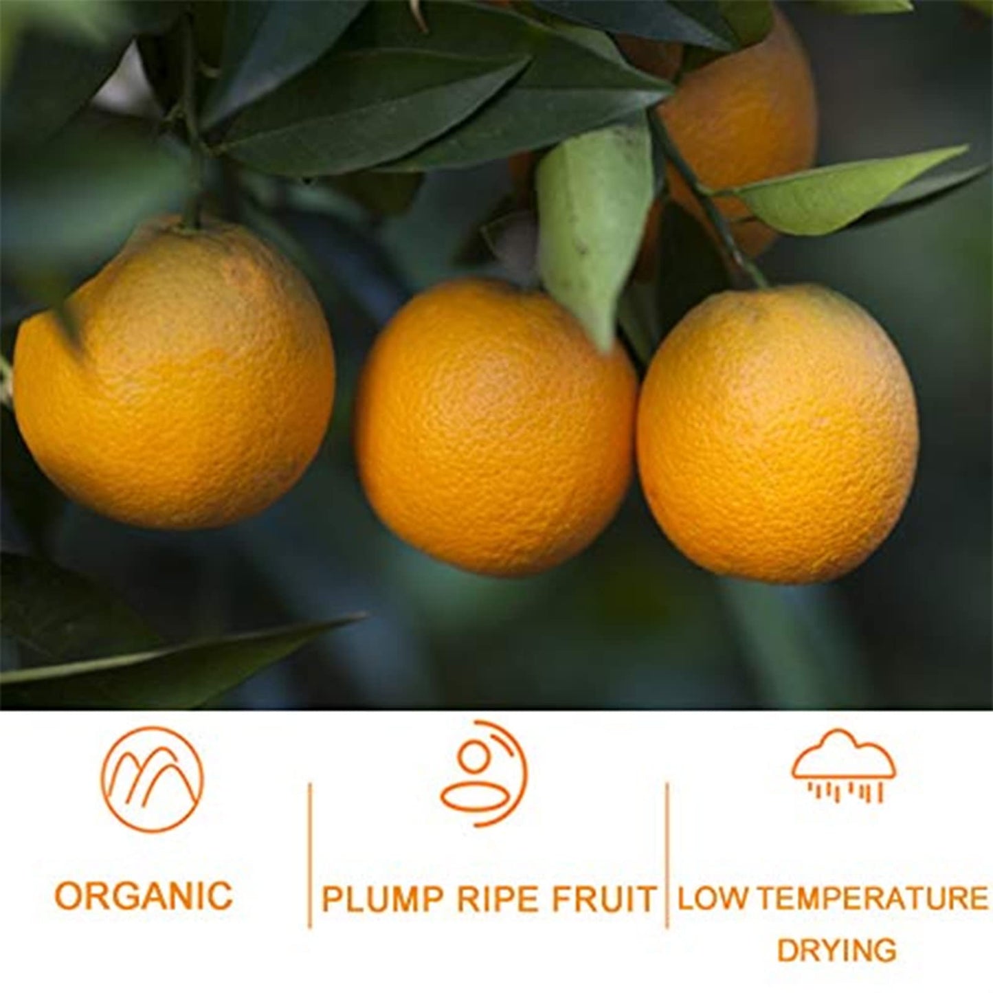 Dried Orange Slices, Low temperature drying Handmade Fruit Tea, Edible Edible Dried Orange Slices For Cake Decoration, Potpourri