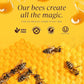 Pure Southern Honey 100% Raw Edible Honeycomb - Unheated, Non-GMO, All-Natural, 7 oz