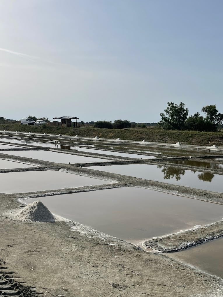 Muse Celtic Minerals French Sea Salt Coarse French Grey salt subtitute pure unrefined Hand Harvested in France Light grey 0.5 po