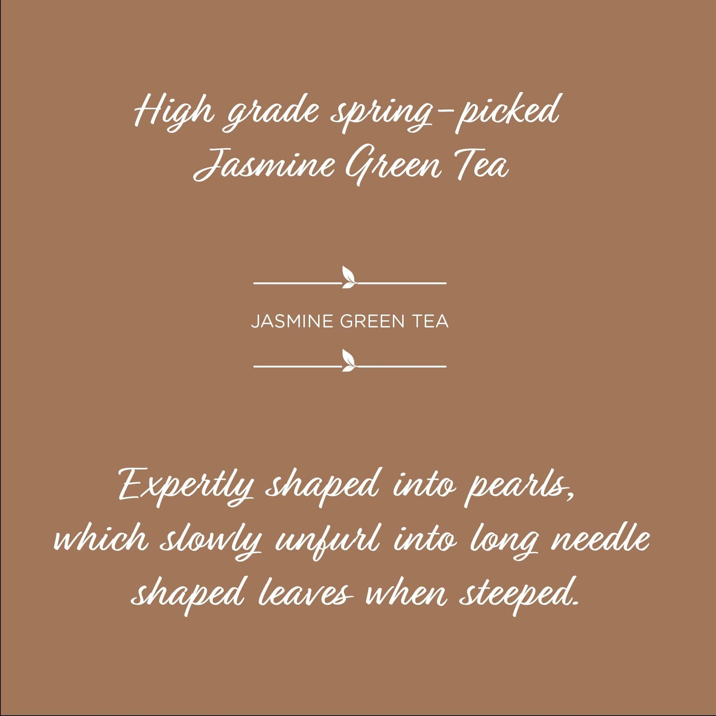 The Tea Spot Jasmine Pearls Green Tea | High-Grade Jasmine Infused Green Tea Pearls From Fujian | 15 Tea Bags