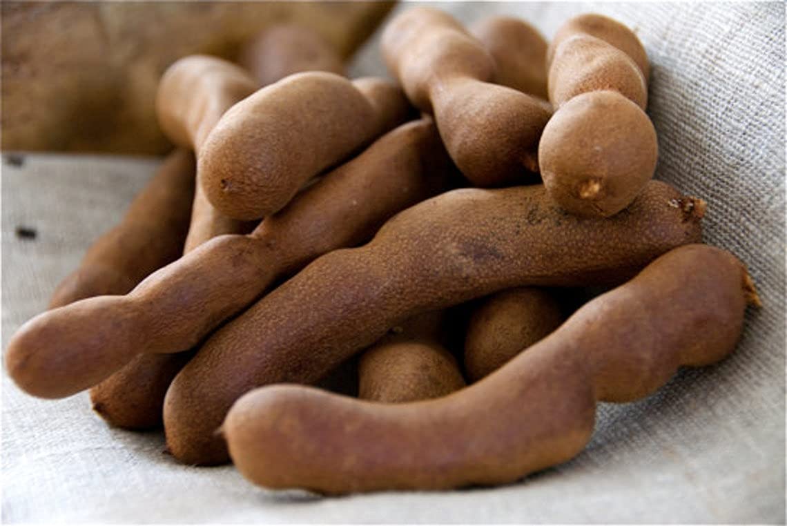 Whole Tamarind Pods, 1LB (16oz) - All-Natural Sweet and Sour Flavor Perfect for Mexican Candy, Agua Fresca, Asian, and Thai Reci