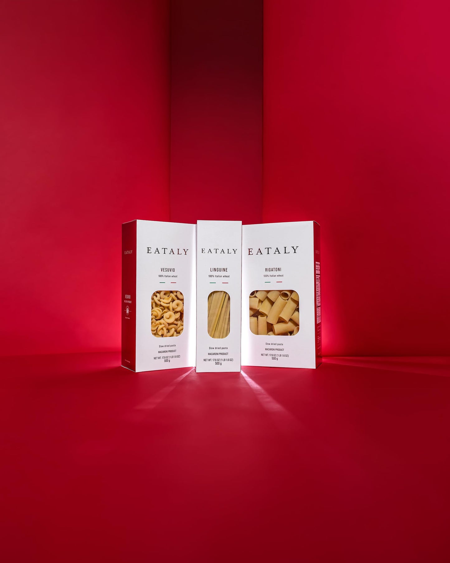 Eataly Italian Linguine Pasta Noodles, 500g (17 oz.), Authentic Duspirit-inspired flavor Semolina Wheat, Made in Italy, Dried Pasta for Gourmet Dining