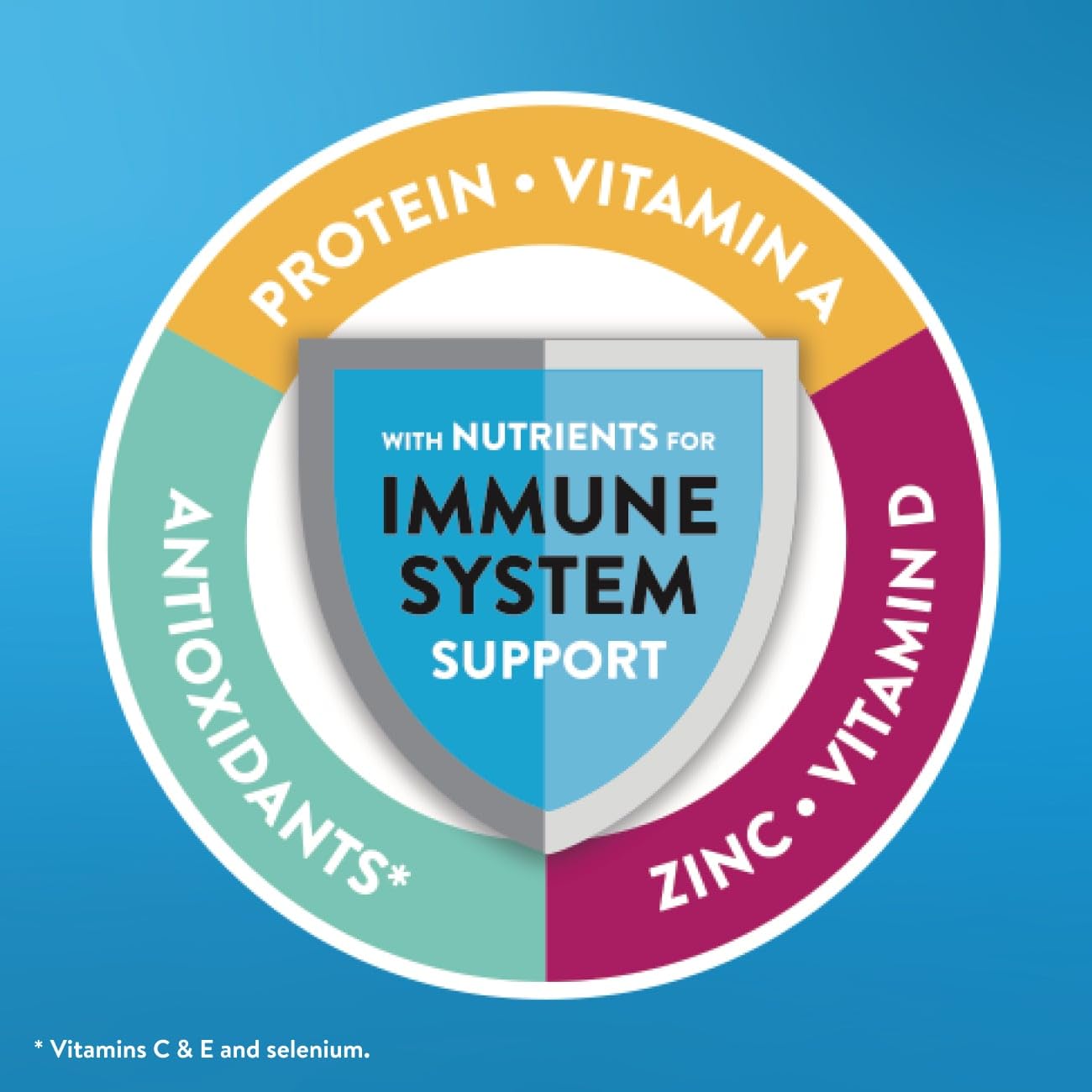 Ensure Original Milk Chocolate Nutrition Shake | Small Meal Replacement Shake | Ready To Drink | 9g Protein, 27 Vitamins and Min