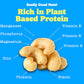 Really Good Nuts! - Organic Raw Cashews, 1 Lb (16 Oz), Perfect For Making Cashew Milk! - Kosher, Gluten-Free, Non-Gmo, Vegan, Wh