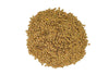 Green Lentils| DRIED WHOLE LENTILS Beans By RawJoy | USA Grown | Bulk Wholesale Supply | Stock Your PANTRY DINER KITCHEN HOTEL. 