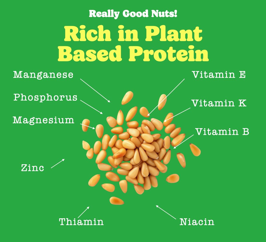 Really Good Nuts! Raw Pine Nuts, Gluten-Free, Unsalted, 1 Pound, Ideal for Cooking & Baking