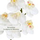 Cg Hunter Faux White Orchid Plant, Premium Artificial Indoor Flower Display Stands 24   , Beautiful Sculptural Blooms That Lasts
