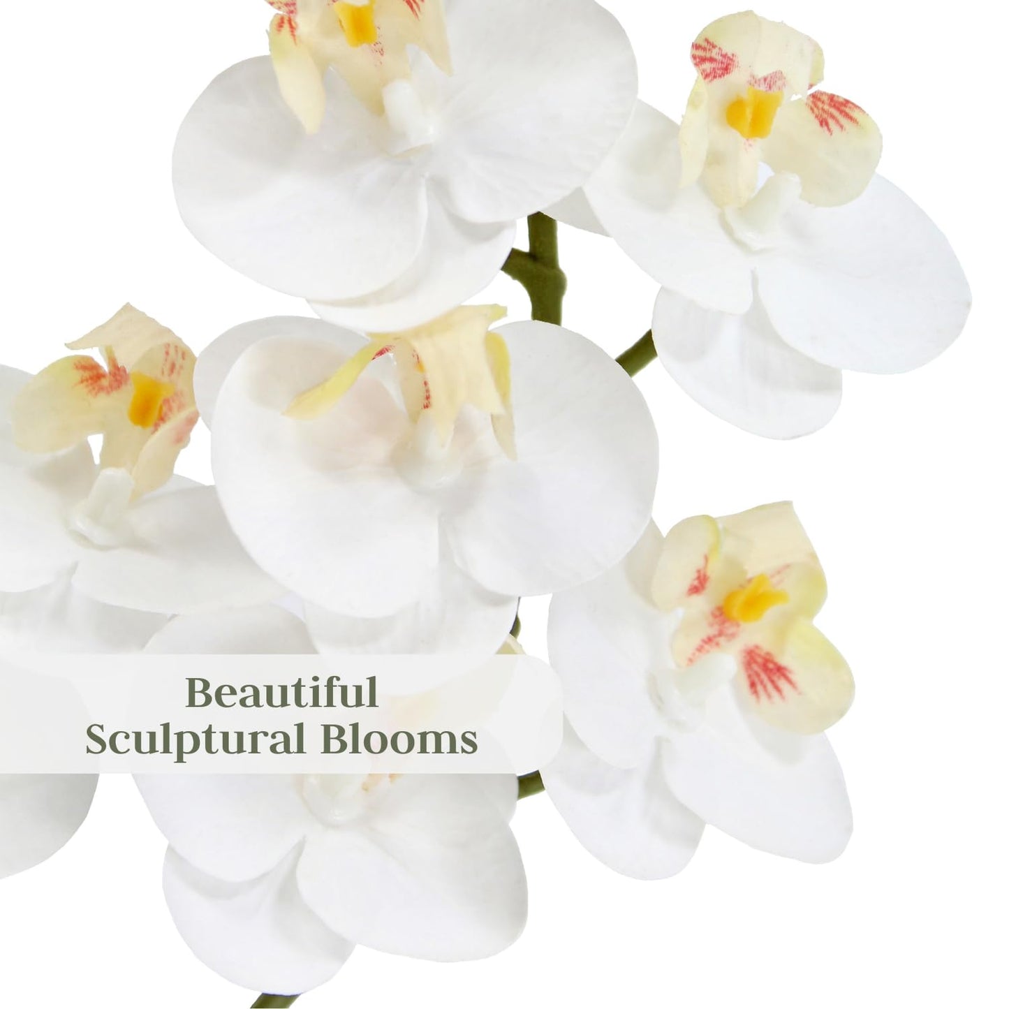 Cg Hunter Faux White Orchid Plant, Premium Artificial Indoor Flower Display Stands 24   , Beautiful Sculptural Blooms That Lasts