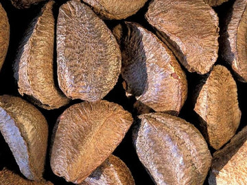 Fresh Raw In-shell Whole Brazil Nuts -1 lb by Nuts n More