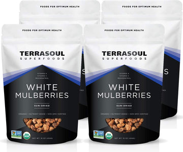 Terrasoul Superfoods Organic Sun-dried White Mulberries, 4 Lbs (Pack of 4), Sweet Superfood Snack and Smoothie Booster