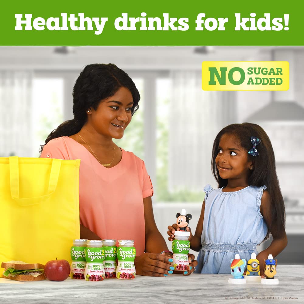 Good2Grow 100% Fruit Punch Juice 24-Pack Of 6-Ounce Bpa-Free Juice Bottles, Non-Gmo With No Added Sugar And An Excellent Daily Source Of Vitamin C. Spill Proof Tops Not Included (Pack Of 24)