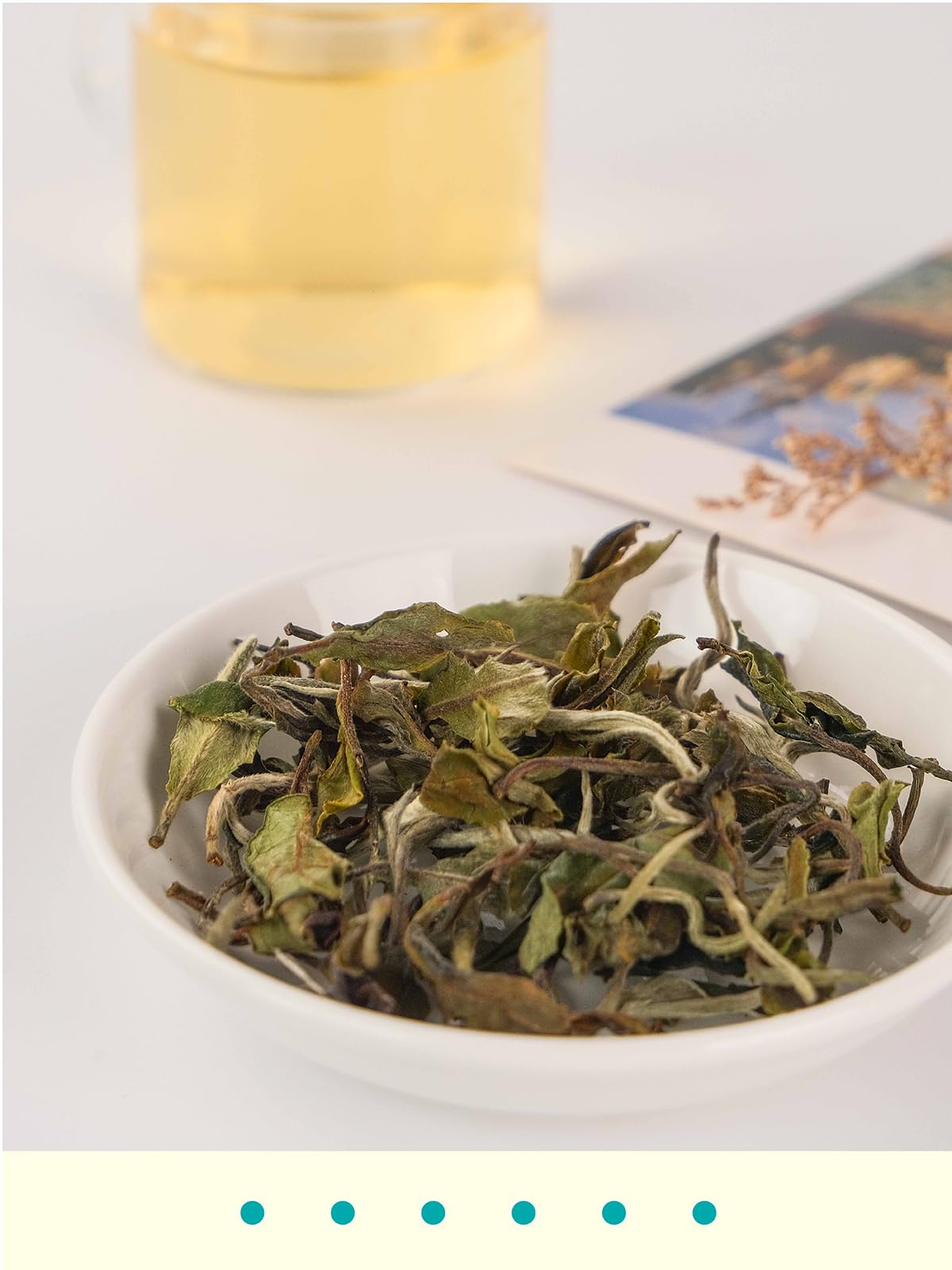 Gldnt Organic White Tea, Enhanced Organic White Tea Loose Leaf, Mild & Smooth Taste, Low Caffeine, 7 Ounce