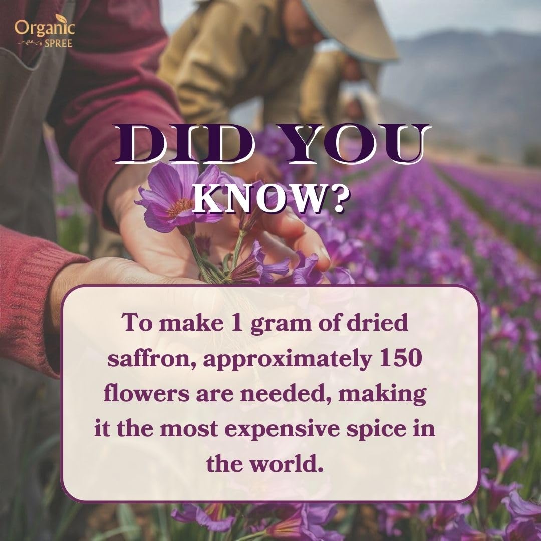 Organic Spree Kashmiri Saffron Kesar 1Gm (0.035Oz) Threads Pure And Natural L From The Finest Farmlands Of Pampore, J&K L Certif