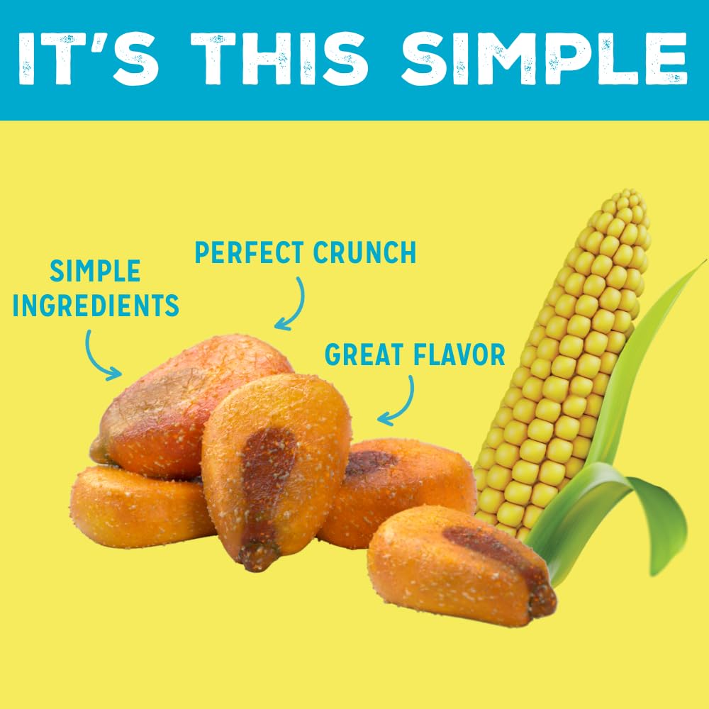 Love Corn Salt & Vinegar Crunchy Corn Snacks - Gluten Free, Kosher, Non-GMO - 0.7oz (Pack of 20)