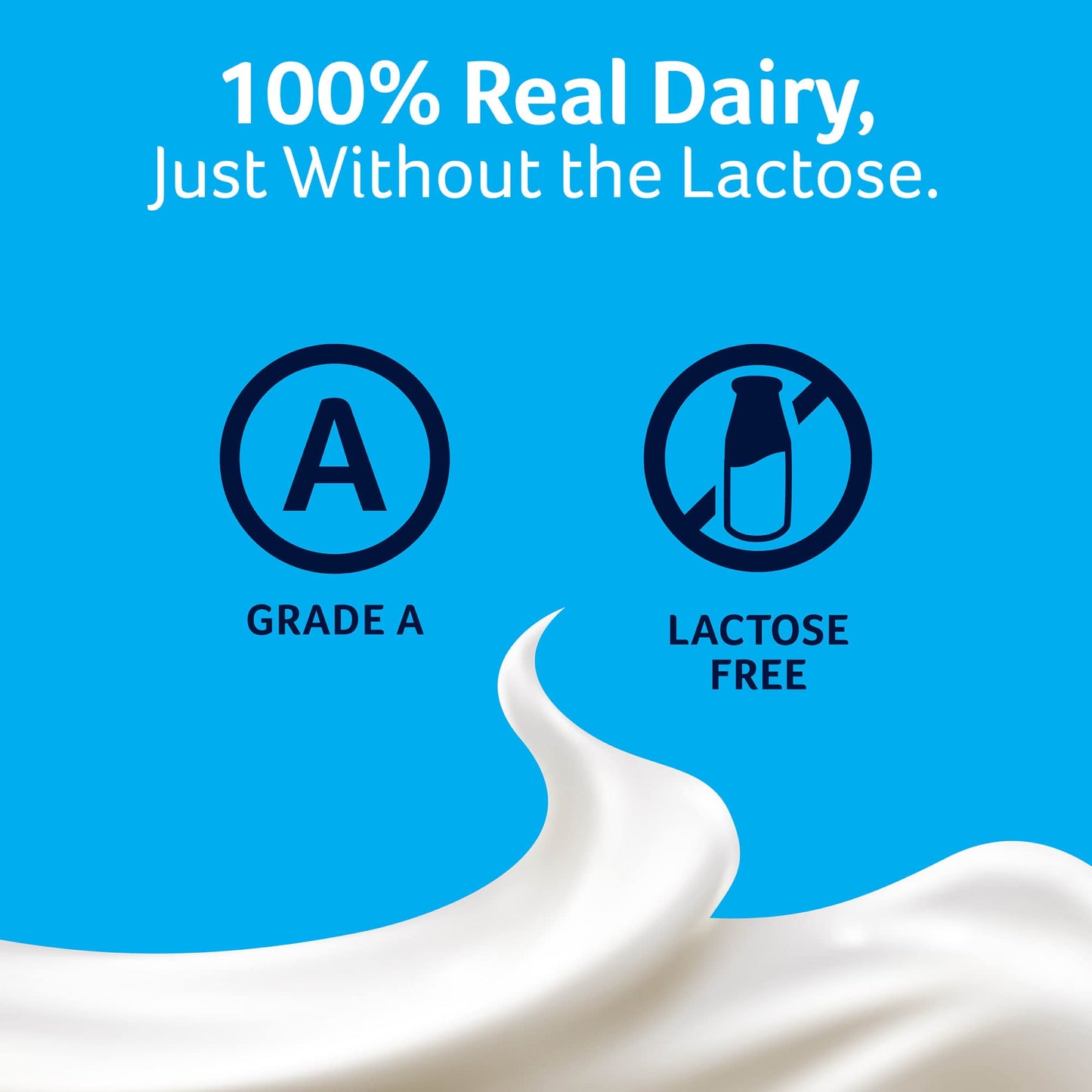 Lactaid Sour Cream, 16 oz