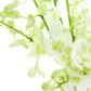 Premium Cut Dendrobium Orchids (White, 30 Stems With Vase) (Support Small Business)