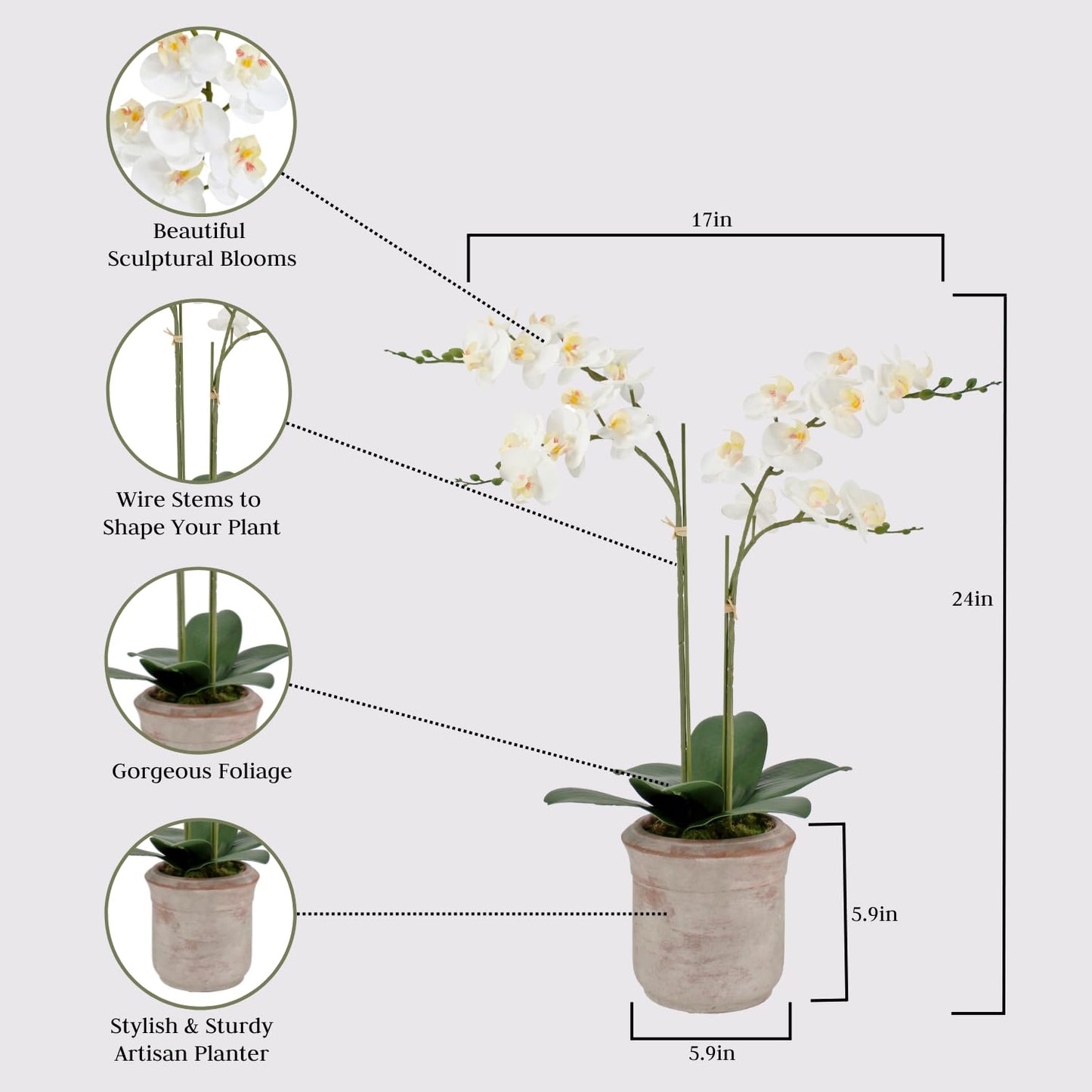 Cg Hunter Faux White Orchid Plant, Premium Artificial Indoor Flower Display Stands 24   , Beautiful Sculptural Blooms That Lasts