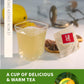 TeeLux Lemon Ginger Green Tea, Zesty Flavor, Low Caffeine, 100 Count
