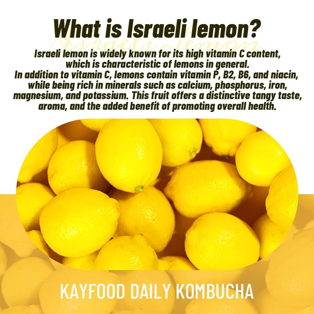 Kayfood Daily Kombucha Powder Tea 5G X 20 Sticks (100G/3.52Oz) With Bottle Sugar Free Diet Tea (Lemon Bottle Set)