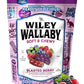 Wiley Wallaby 10 Ounce Blasted Berry Gourmet Australian Style Soft & Chewy Licorice Candy Twists